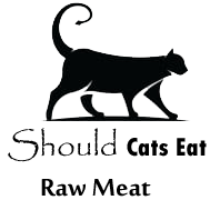 Should Cats Eat Raw Meat